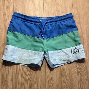 Prodah Kids Swim Trunks - Blue and Green